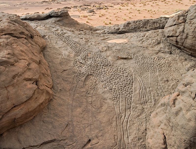 The Dabous Giraffes are the world's largest animal rock petroglyphs, situated a short distance from the Trans-Saharan Highway and roughly 110 km north of Agadez, on a sandstone outcrop in the Ténéré desert in the initial foothills of the Aïr Mountains.