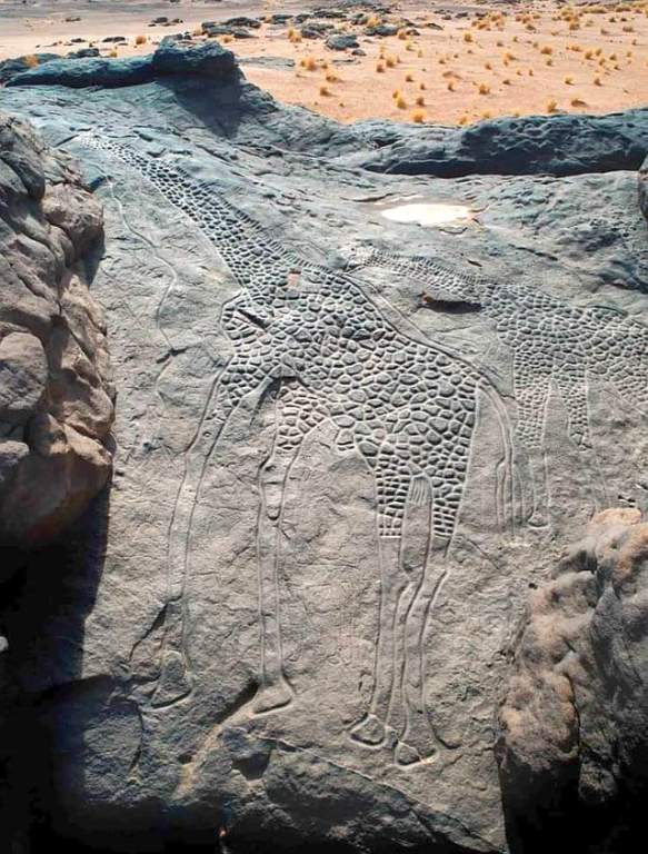 This region of Niger has approximately 800 figures engraved into the rocks, out of which 704 are animals (cattle, giraffes, ostriches, antelopes, lions, rhinoceroses, and camels), 61 are human beings, and 17 are Tifinâgh inscriptions.