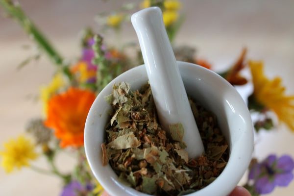 Dental Herbs for Tooth Decay