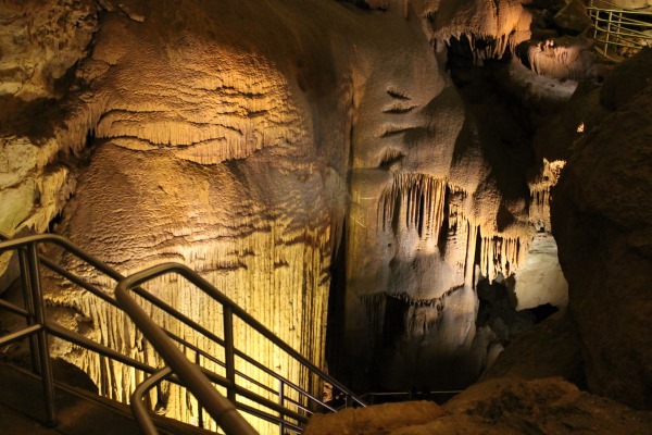 The Kentucky Cave Shrimp is an endangered species that is only found in Mammoth Cave National Park.