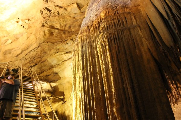 Mammoth Cave National Park is located in the town of Mammoth Cave off Interstate 65 on Highway 259 in central Kentucky.