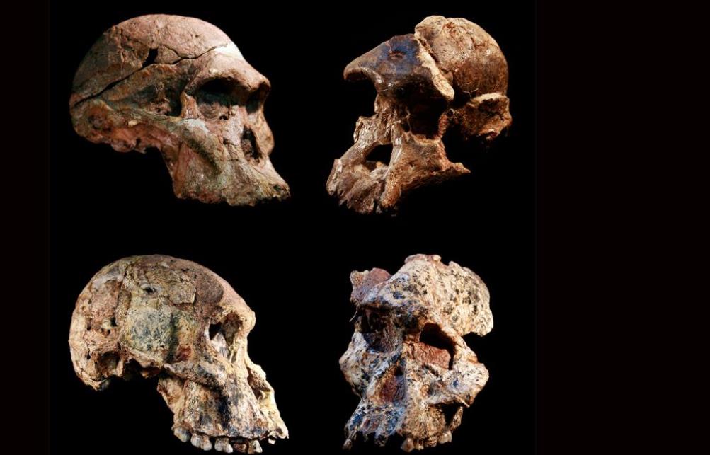 Early man Skeletal remains in West Africa