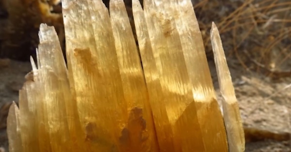 The brittle selenite and other precipitated gypsum are then eroded into the pure-white sands, which mostly cover the national park.