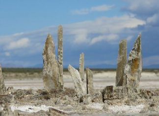Lake Lucero: Where the Desert Meets the Salt Flats Lake Lucero New Mexico (6)