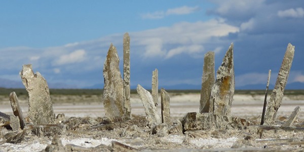 Selenite crystals that formed as the lake water evaporated