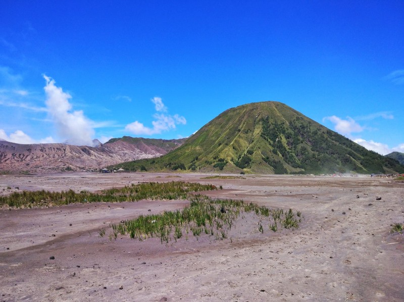 Mount Batok, which is located between the four regencies of Probolinggo, Pasuruan, Lumajang, and Malang, is 2,440 meters (8,005 feet) above sea level.