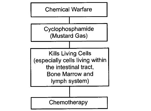 The history of Chemotherapy