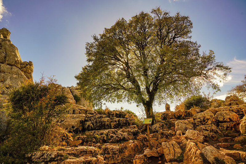 El Torcal de Antequera is a nature reserve recognized for its unique formations and is considered one of Europe's most spectacular karst landscapes.