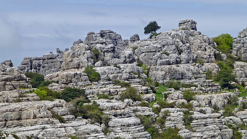 El Torcal de Antequera is a nature reserve recognized for its unique formations and is considered one of Europe's most spectacular karst landscapes.