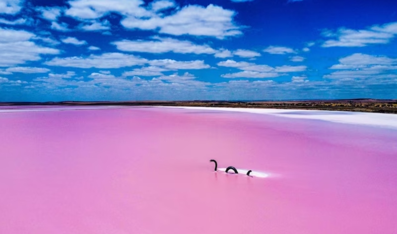 Lake Bumbunga Breathtaking Pink Lake in South Australia