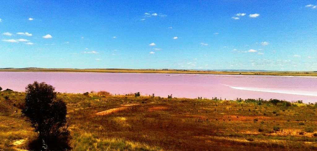 Lake Bumbunga Breathtaking Pink Lake in South Australia