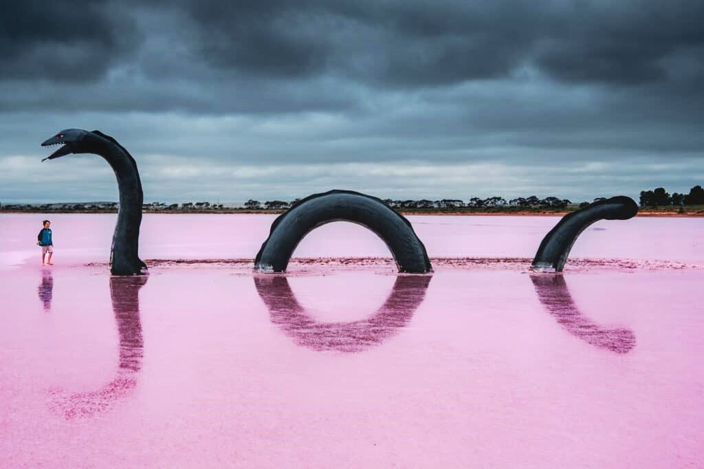 Lake Bumbunga Breathtaking Pink Lake in South Australia