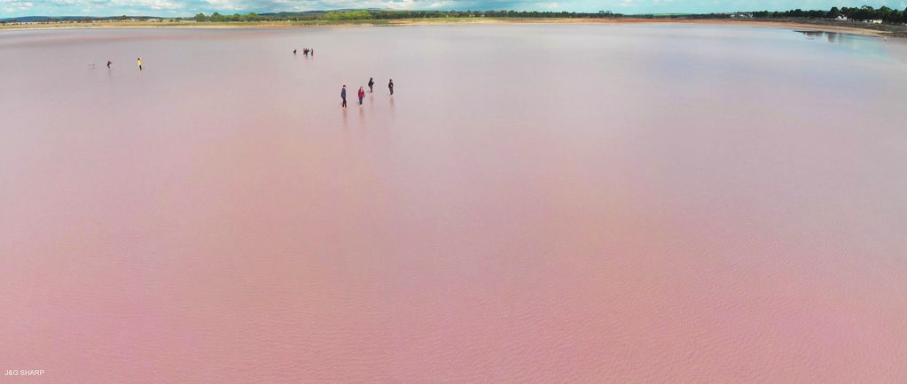 Lake Bumbunga Breathtaking Pink Lake in South Australia