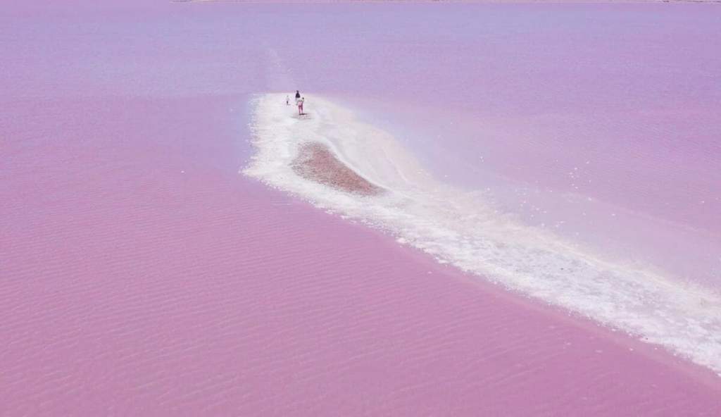 Lake Bumbunga Breathtaking Pink Lake in South Australia