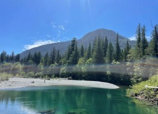 Nahmint Lake: Discover the Untouched Serenity in Vancouver Island Nahmint Lake