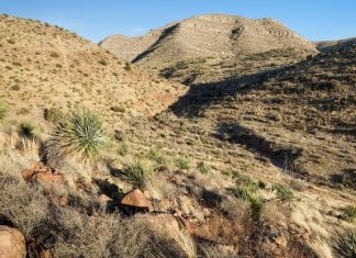 Robledo Mountains: Enigmatic Landscapes Where History, Geology, and Nature Collide Robledo Mountains
