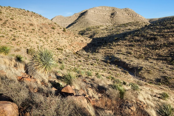 Robledo Mountains are a fascinating mountain range in Doña Ana County, New Mexico, located northwest of Las Cruces in the Chihuahuan Desert.