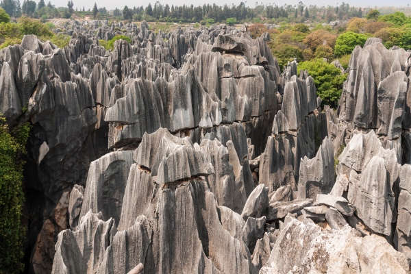 Rain has consistently wiped away any soil, revealing the bleak face of this natural treasure.