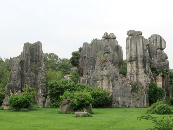 Many of the rocks resemble petrified trees.