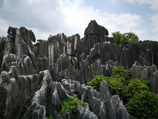 These tall, oddly shaped rock pillars are dispersed over an area of over 26,000 hectares. Merely 80 ha of this region are accessible to tourists.