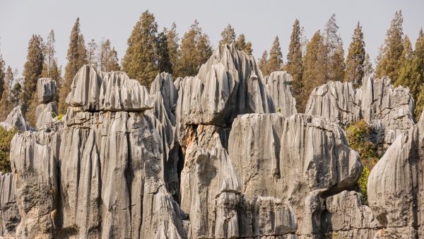 The Kunming stone forest of Shilin are in good condition.