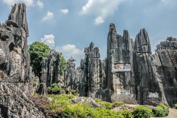 The tall rocks give the impression of a stone forest because they appear to grow from the earth in a way that is akin to stalagmites.