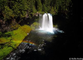 Koosah Falls: The Mesmerizing Cascade Gem of the McKenzie River Koosah Waterfalls Oregon
