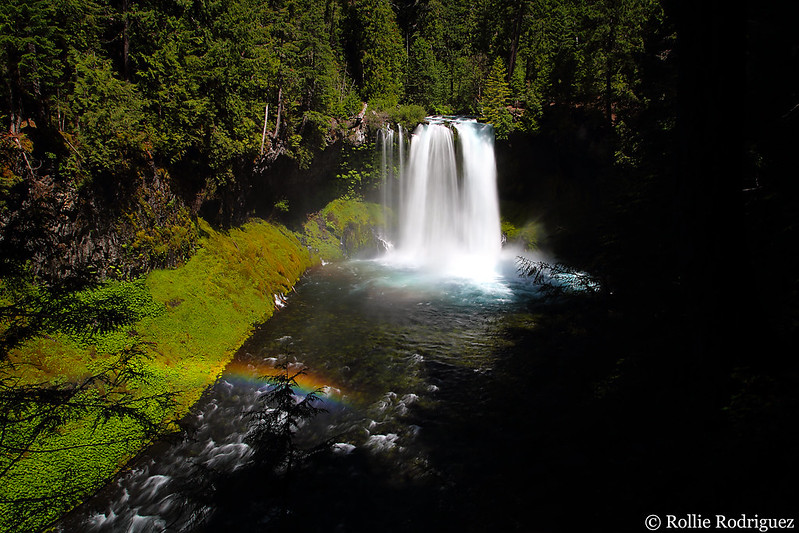 Koosah Waterfalls Oregon