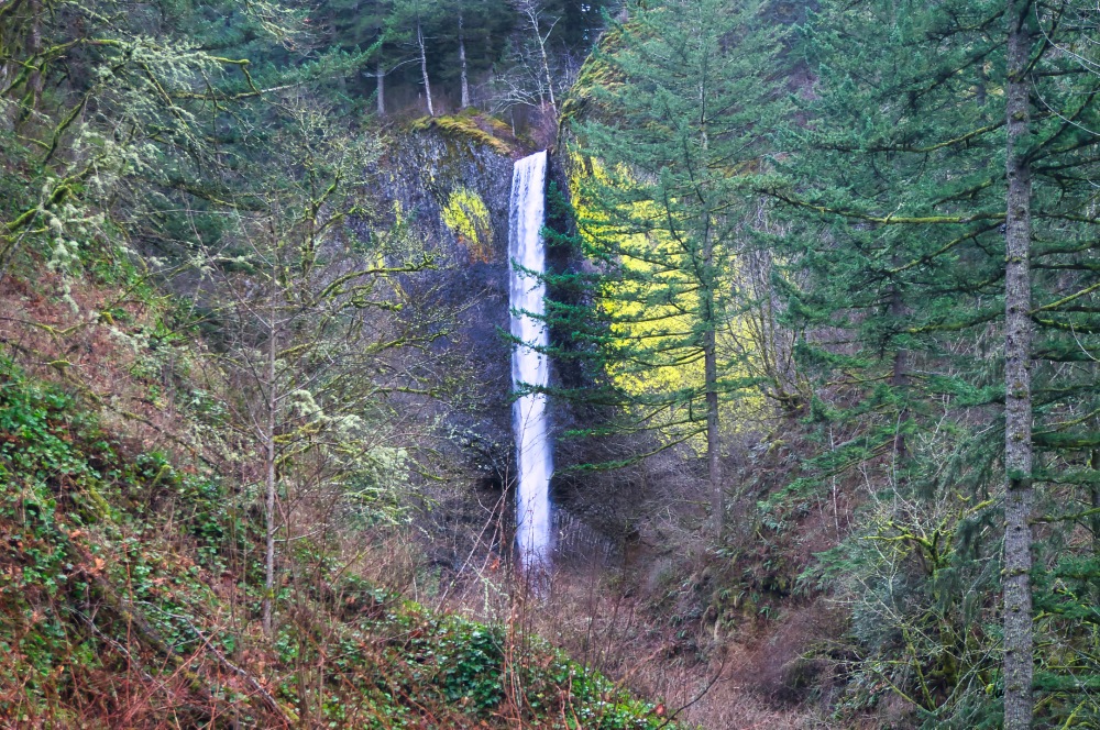 Latourell Falls is a waterfall located within Guy W. Talbot State Park along the Columbia River Gorge in the Portland, Oregon.