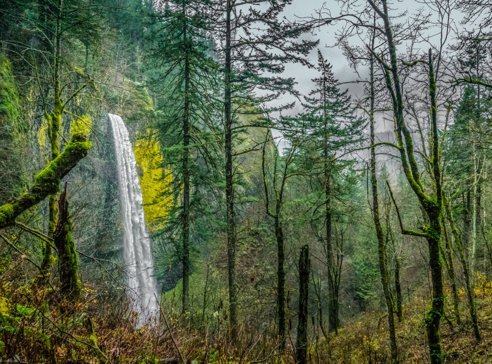 Latourell Falls is a waterfall located within Guy W. Talbot State Park along the Columbia River Gorge in the Portland, Oregon.