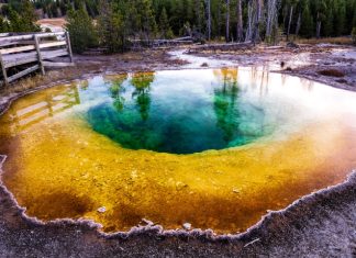 Morning Glory Pool: Yellowstone’s Enchanting Hot Spring You Need to Visit Morning Glory Pool or Morning Glory Spring, is a mesmerizing hot spring in the Yellowstone Upper Geyser Basin of the United States.
