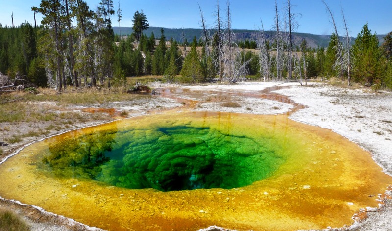 Morning Glory Pool or Morning Glory Spring, is a mesmerizing hot spring in the Yellowstone Upper Geyser Basin of the United States.