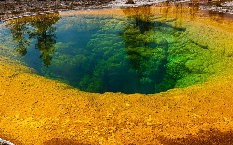 Morning Glory Pool or Morning Glory Spring, is a mesmerizing hot spring in the Yellowstone Upper Geyser Basin of the United States.