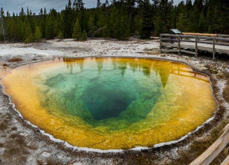 Morning Glory Pool or Morning Glory Spring, is a mesmerizing hot spring in the Yellowstone Upper Geyser Basin of the United States.