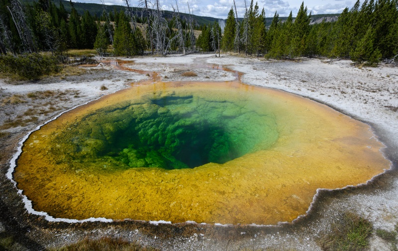 Morning Glory Pool or Morning Glory Spring, is a mesmerizing hot spring in the Yellowstone Upper Geyser Basin of the United States.