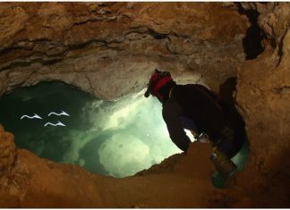 Movile Cave: A Unique Isolated Ecosystem in Romania Movile Cave: A Unique Isolated Ecosystem