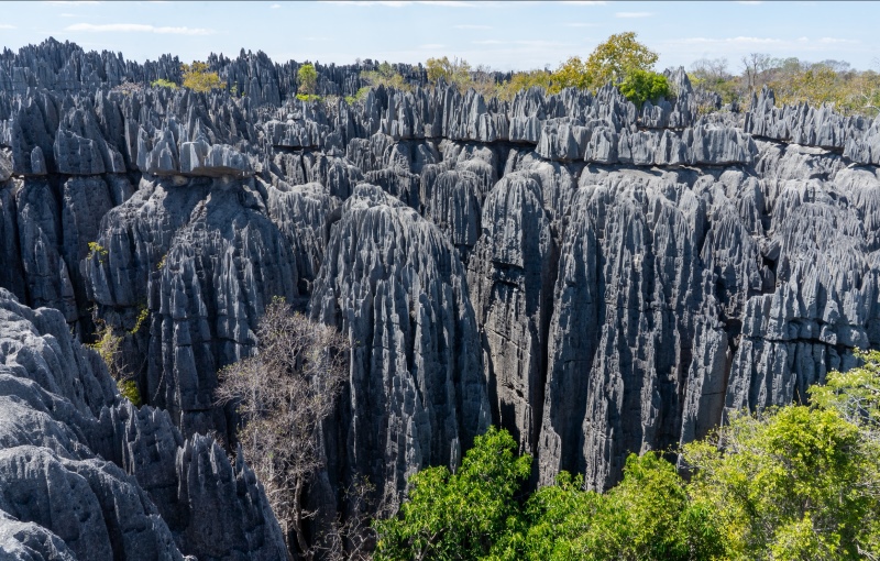 Tsingy de Bemaraha - The Forest of Knives