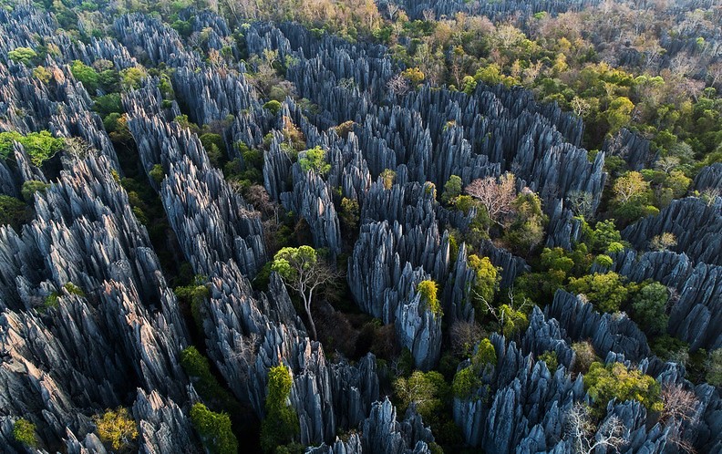 Tsingy de Bemaraha - The Forest of Knives