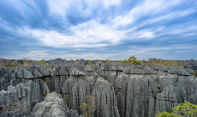 Tsingy de Bemaraha - The Forest of Knives