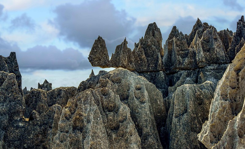 Tsingy de Bemaraha - The Forest of Knives