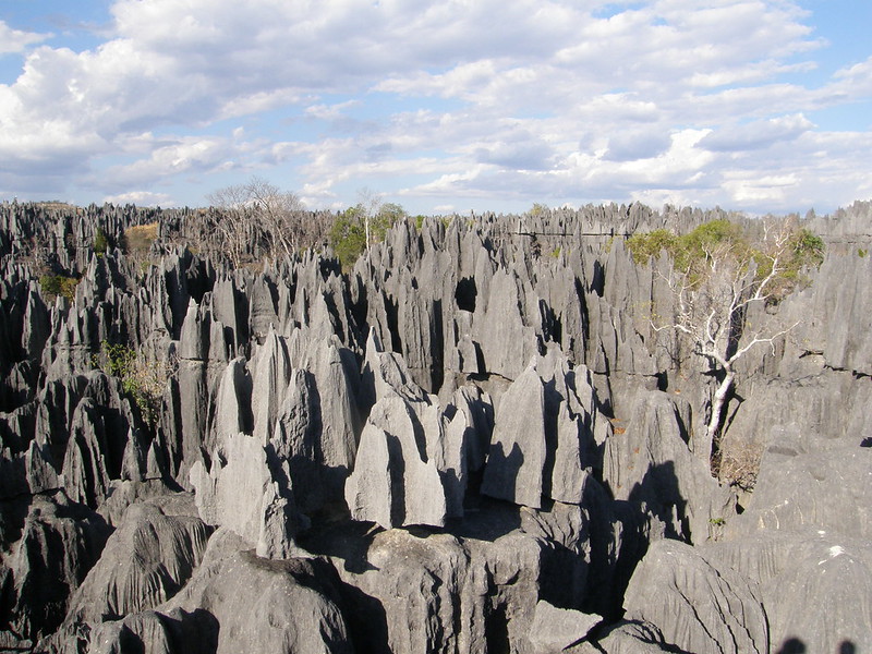 Tsingy de Bemaraha - The Forest of Knives