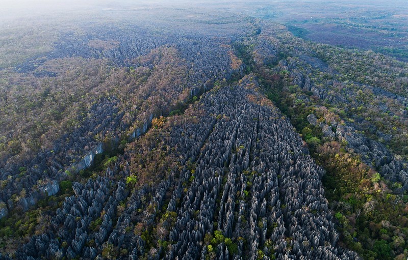 Tsingy de Bemaraha - The Forest of Knives