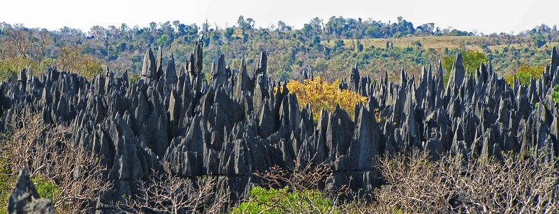 Tsingy de Bemaraha - The Forest of Knives