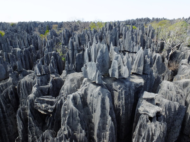 Tsingy de Bemaraha - The Forest of Knives