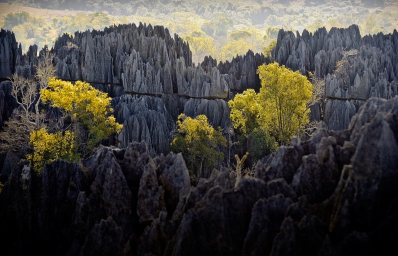 Tsingy de Bemaraha - The Forest of Knives