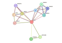 Recent 2024 advances in recombinant human activin-A, and why researchers (and clinicians) are paying attention Recent 2024 advances in recombinant human activin-A