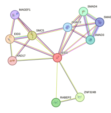 Recent 2024 advances in recombinant human activin-A, and why researchers (and clinicians) are paying attention Recent 2024 advances in recombinant human activin-A