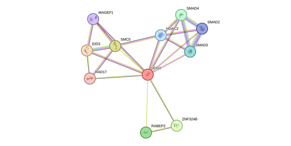 Recent 2024 advances in recombinant human activin-A