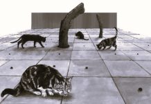 Why Are Cats the True Carnivores Why cats are true carnivores. Cats are carnivores, not by choice, but by necessity. Many of their relatives in the animal kingdom,