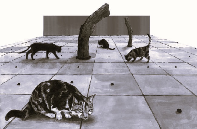 Why cats the true carnivores. Cats are carnivores, not by choice, but by necessity. Many of their relatives in the animal kingdom,